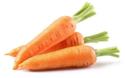 Carrot