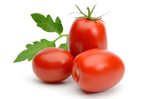 Tomato