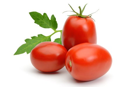 Tomato